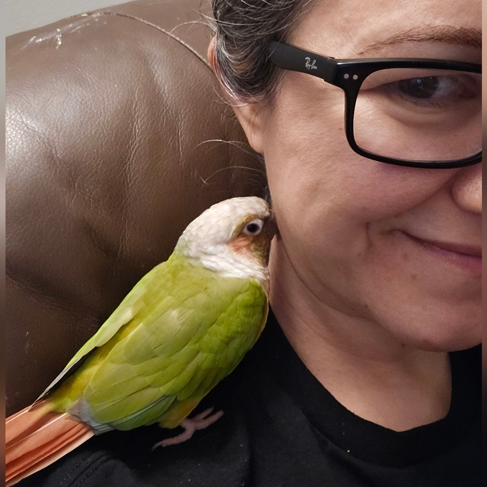 Meet your Posher, Niki.